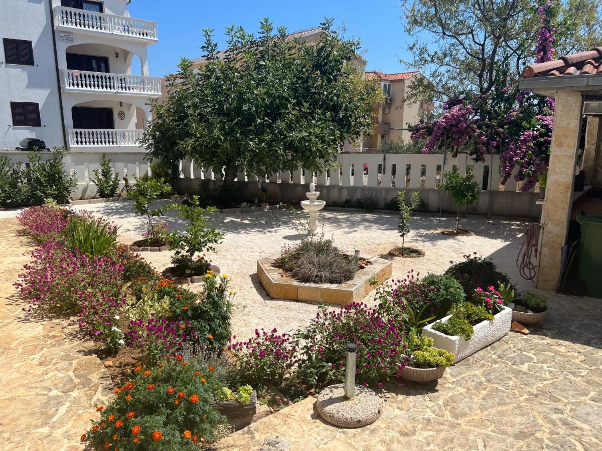 Apartments Villa Zdrava تروغير المظهر الخارجي الصورة
